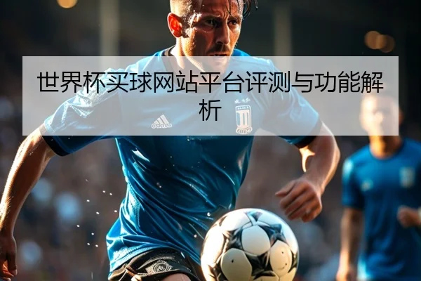 世界杯买球网站平台评测与功能解析