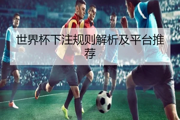 世界杯下注规则解析及平台推荐