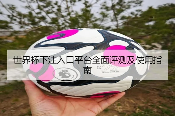 世界杯下注入口平台全面评测及使用指南
